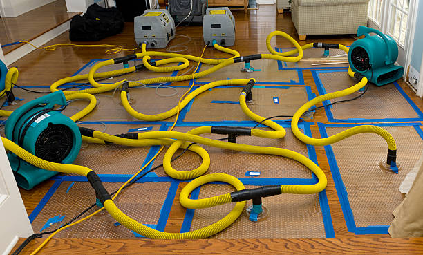 Professional Sewage Cleanup technician working in Embarrass, MN